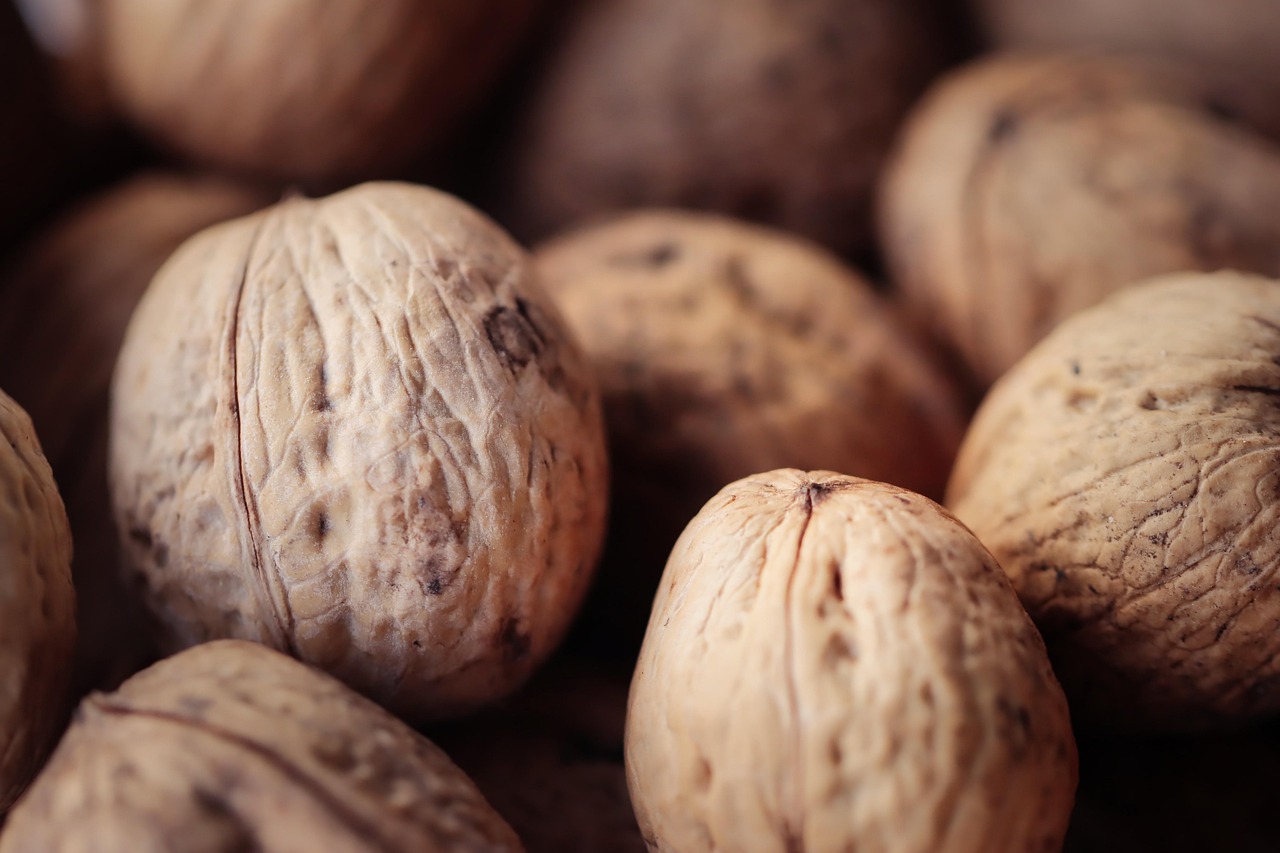 Plant-Based Protein for Sarcopenia Prevention: A Guide for Older Adults