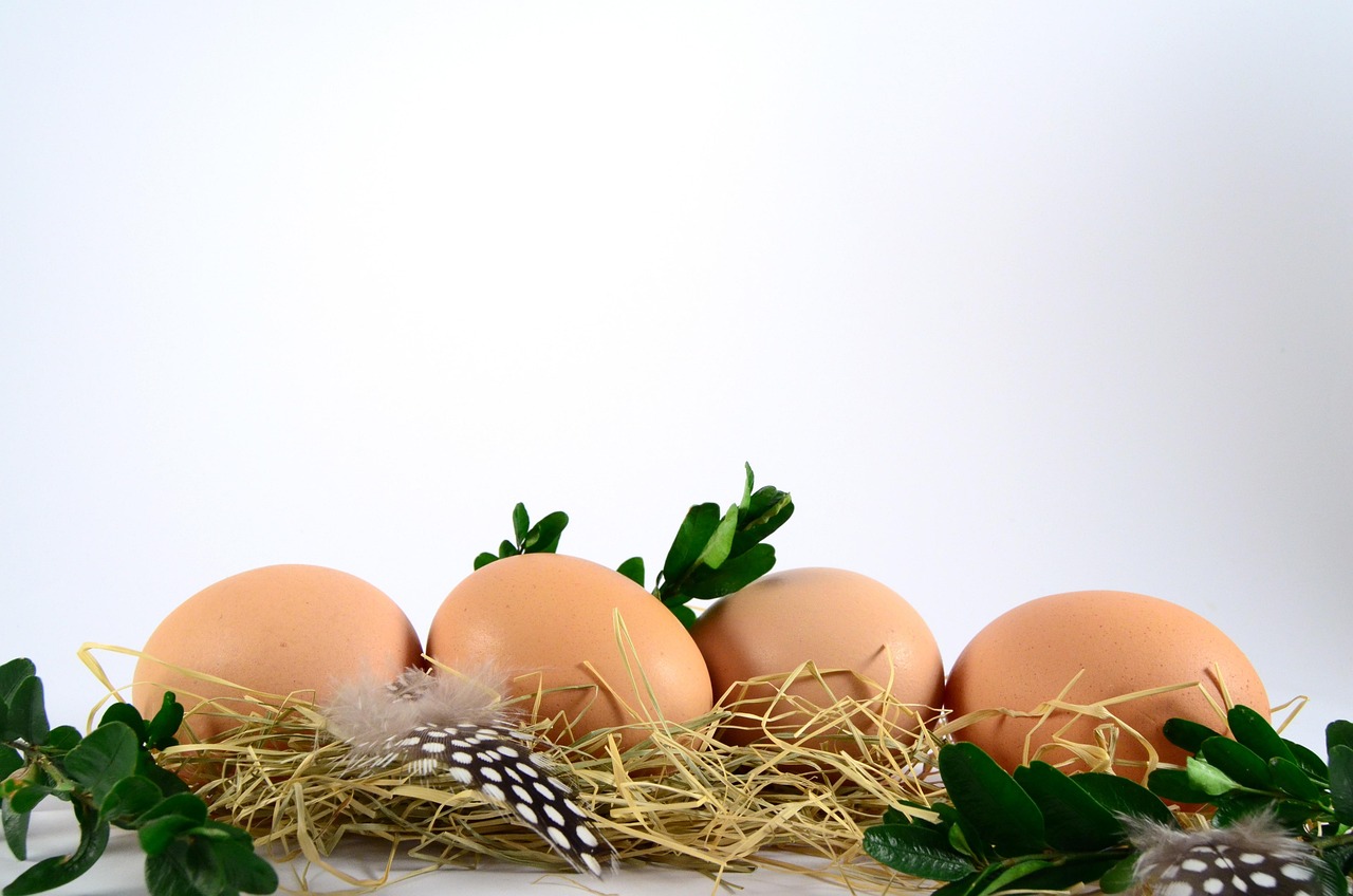 Soft Foods, Strong Muscles: High-Protein Meals for Chewing Difficulty